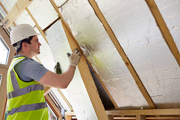 Best Insulation Maintenance and Repair in Forney, TX